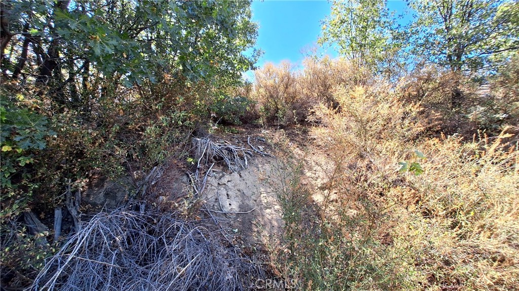 0 Coulter Property Photo 4