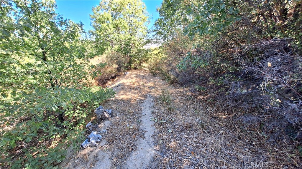 0 Coulter Property Photo 5