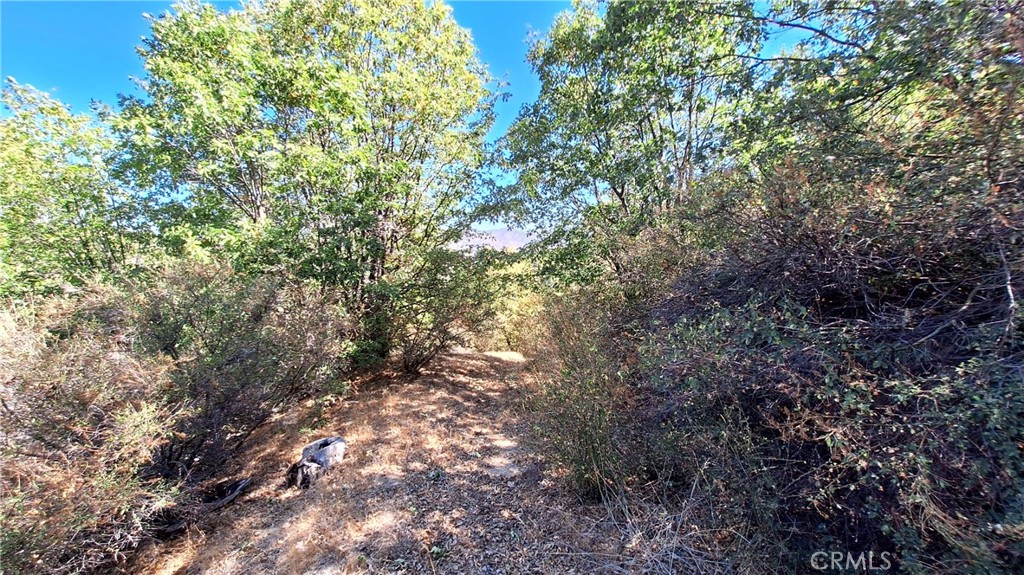 0 Coulter Property Photo 7