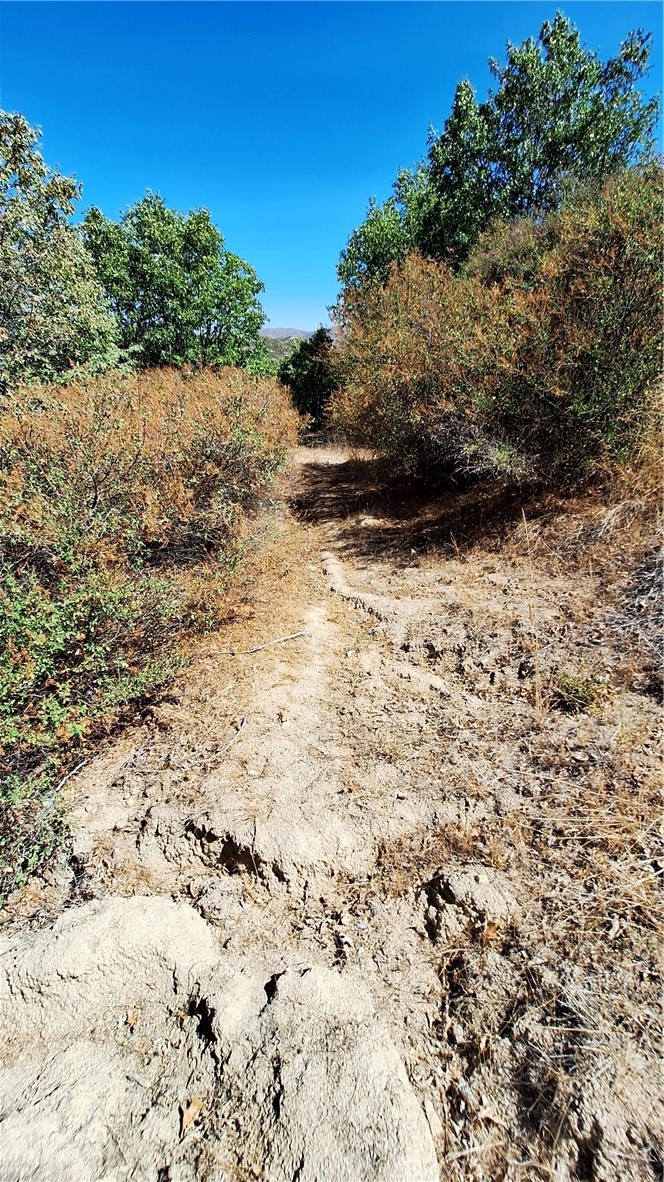 0 Coulter Property Photo 10