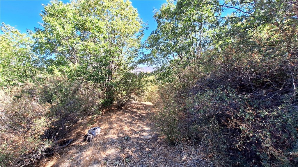 0 Coulter Property Photo 3