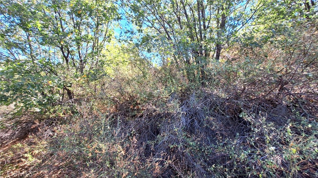 0 Coulter Property Photo 4