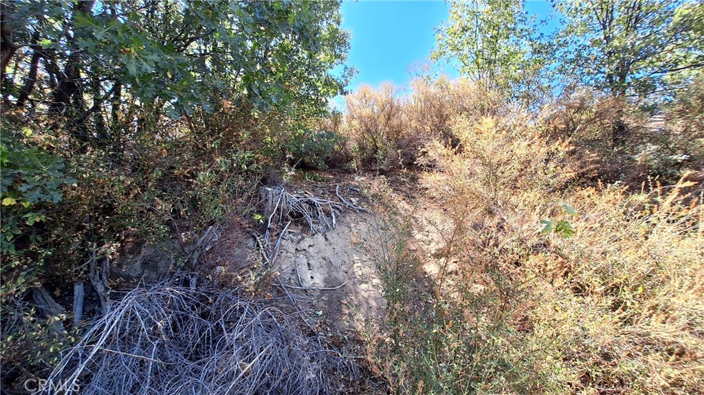 0 Coulter Property Photo 5