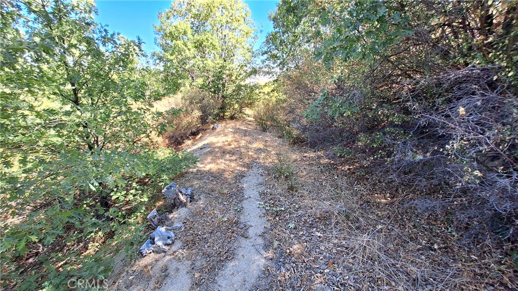 0 Coulter Property Photo 6