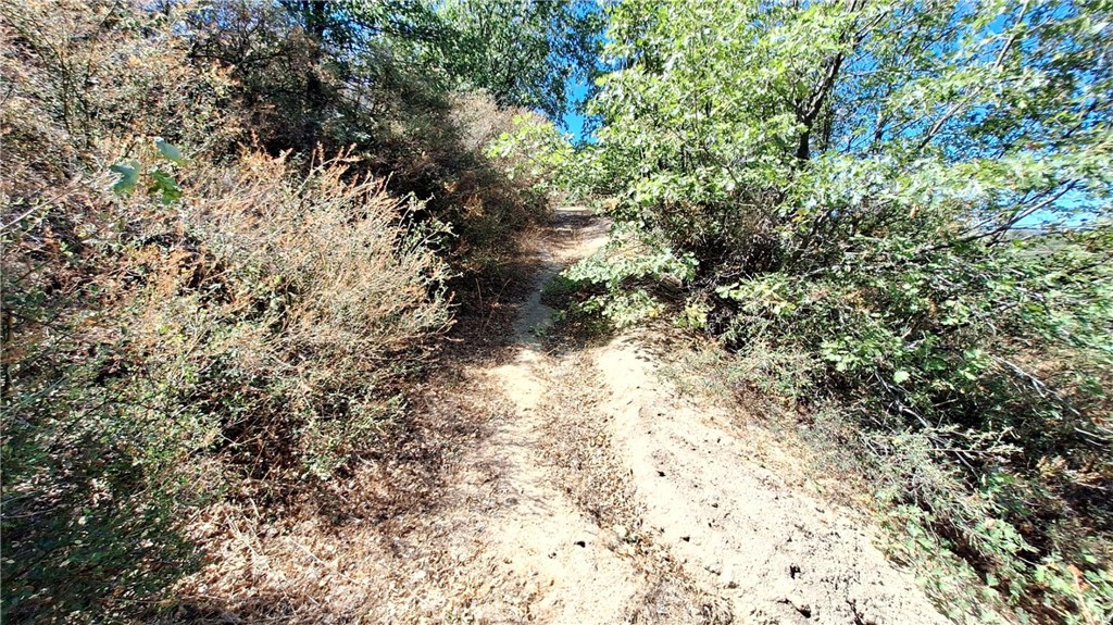 0 Coulter Property Photo 7