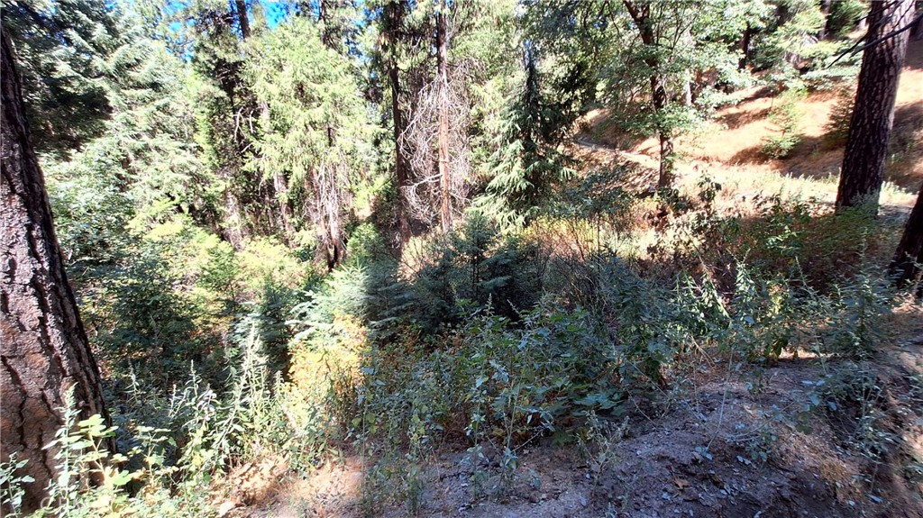 0 El Valle Property Photo 1