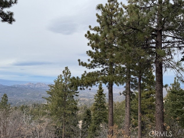 33149 Holcomb Creek Drive Property Photo 11