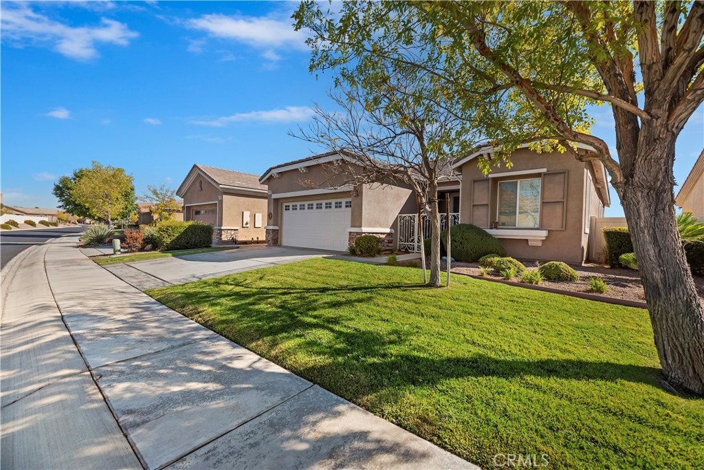10509 Lanigan Rd. Property Photo 4