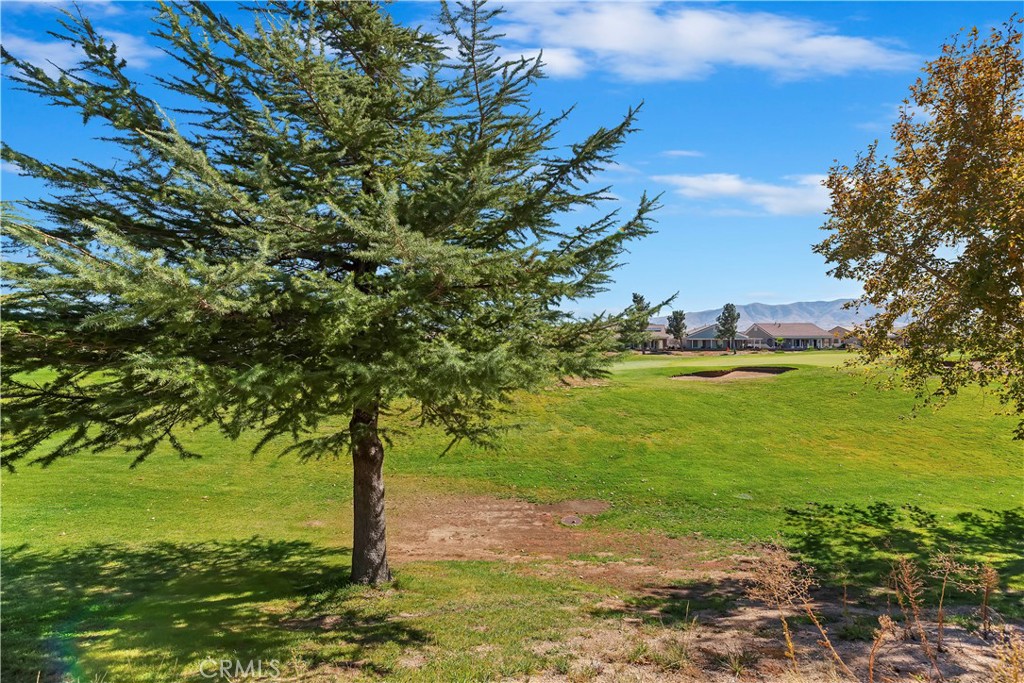 10509 Lanigan Rd. Property Photo 36