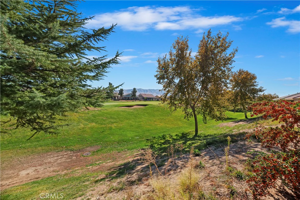 10509 Lanigan Rd. Property Photo 37