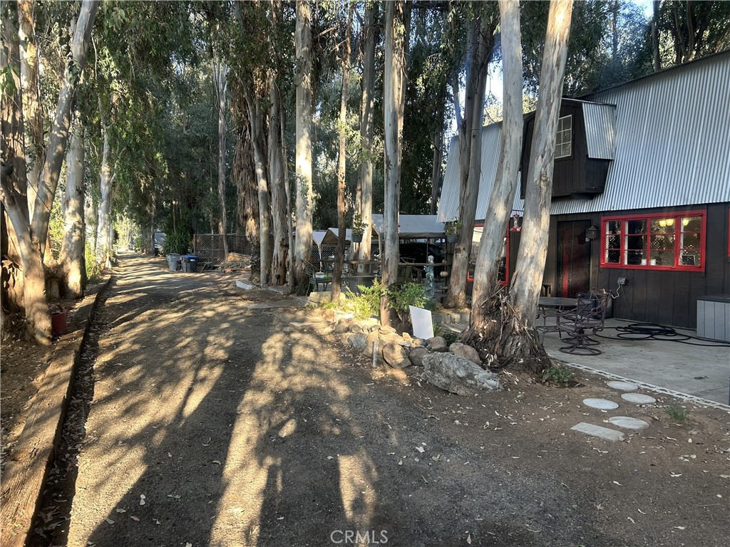 28639 Rostrata Property Photo 2