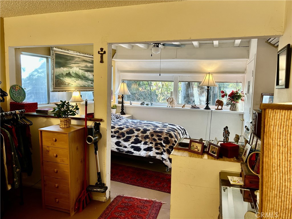 28639 Rostrata Property Photo 19
