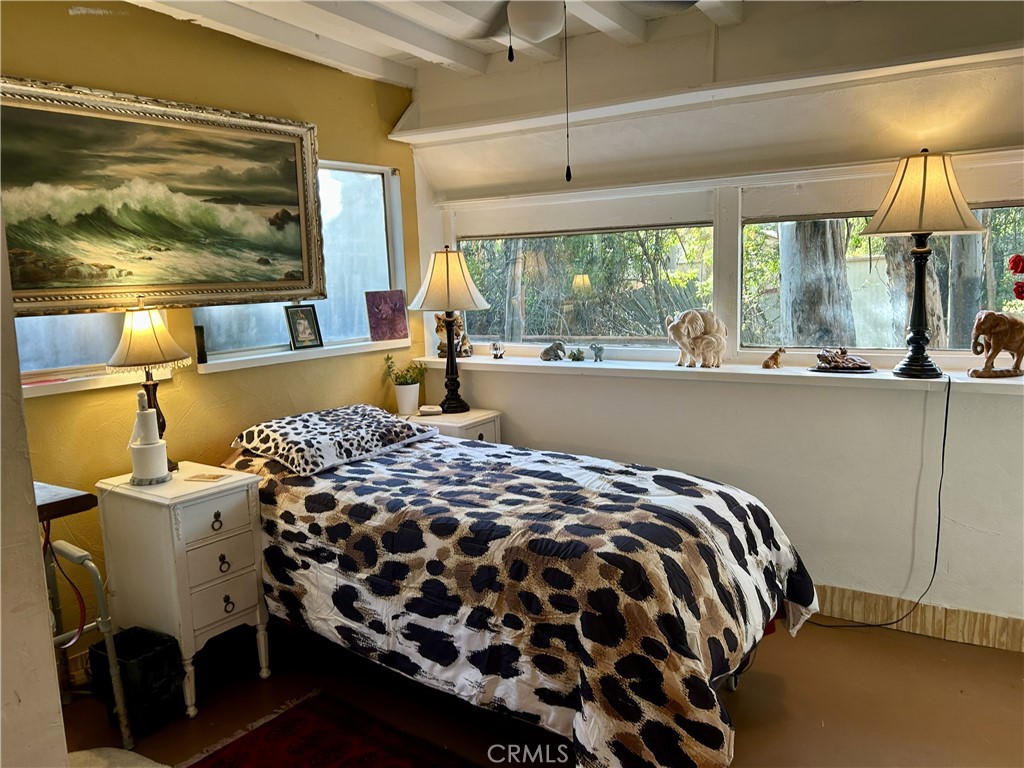 28639 Rostrata Property Photo 20
