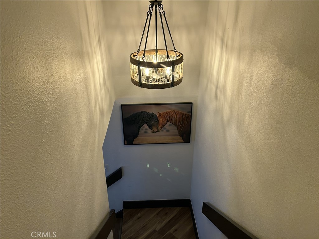 28639 Rostrata Property Photo 22