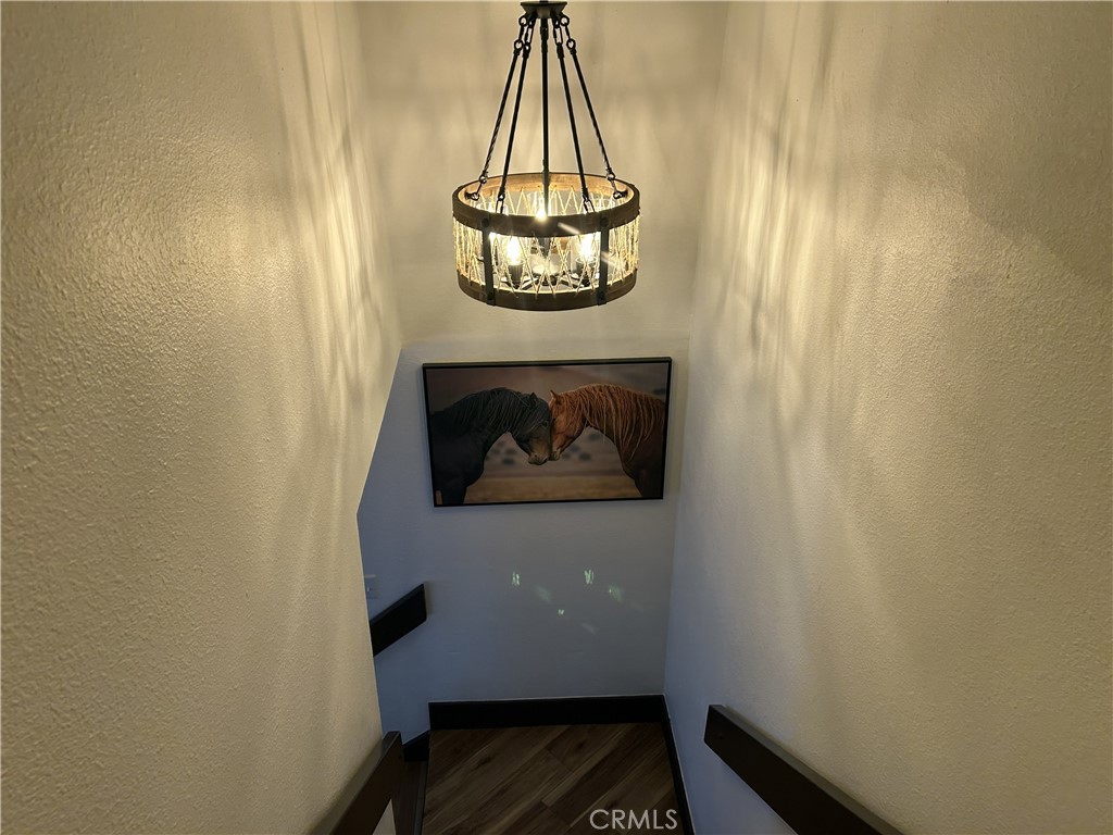 28639 Rostrata Property Photo 22