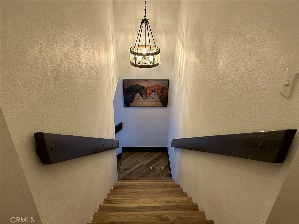 28639 Rostrata Property Photo 23