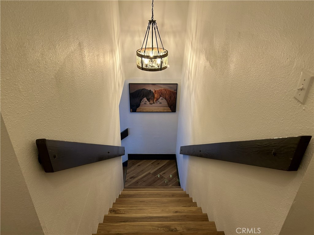 28639 Rostrata Property Photo 23