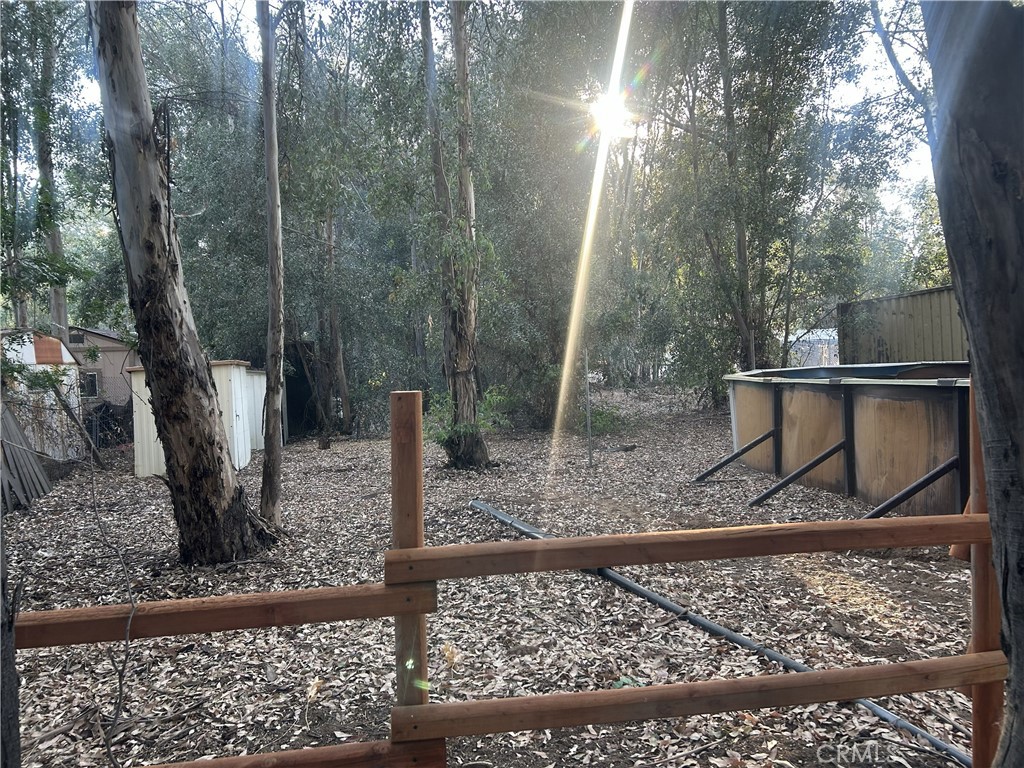 28639 Rostrata Property Photo 39