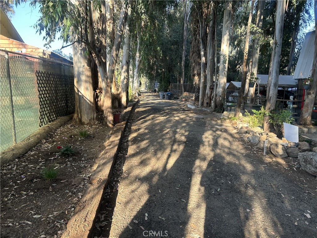 28639 Rostrata Property Photo 40
