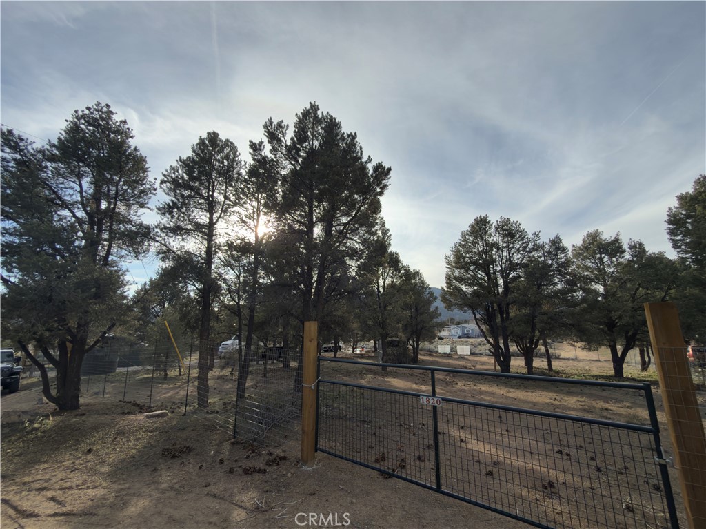 1820 Golden Rod Property Photo 5