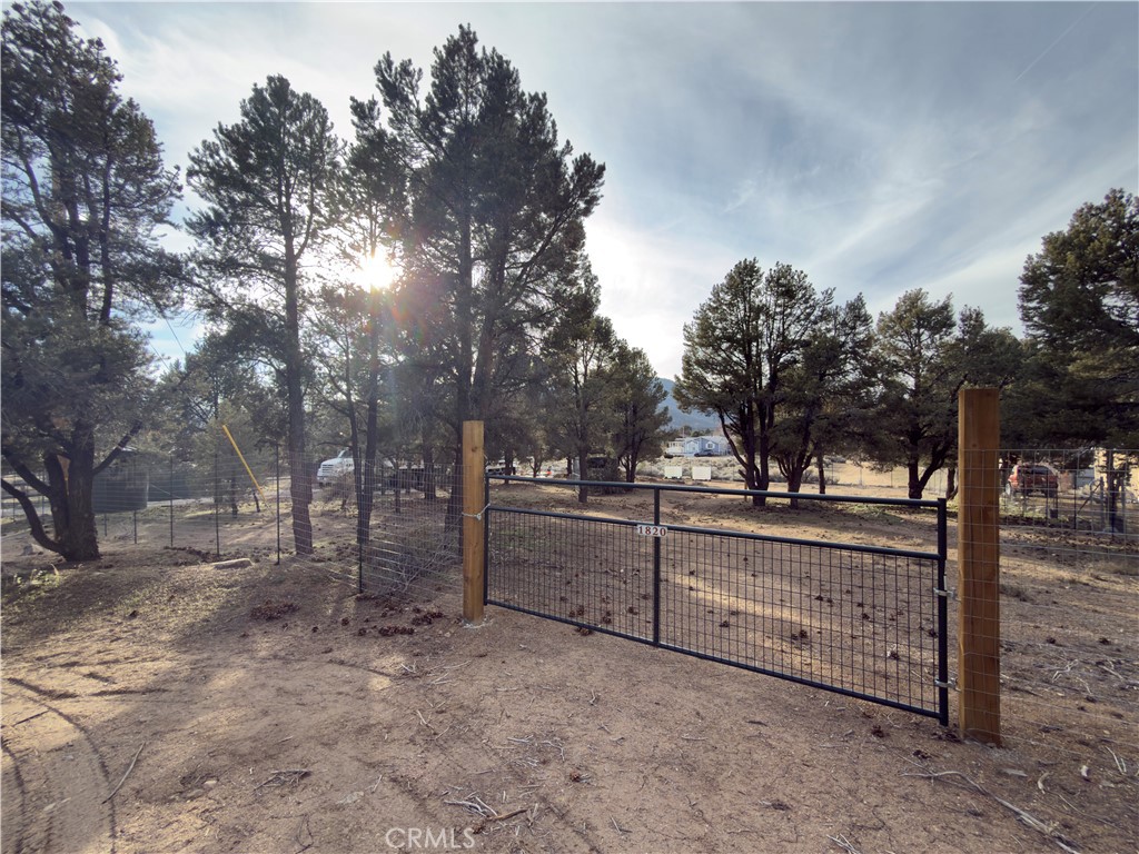 1820 Golden Rod Property Photo 7