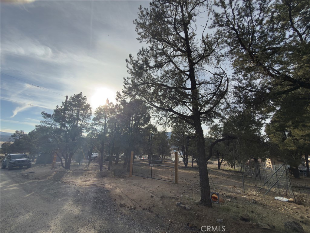 1820 Golden Rod Property Photo 9