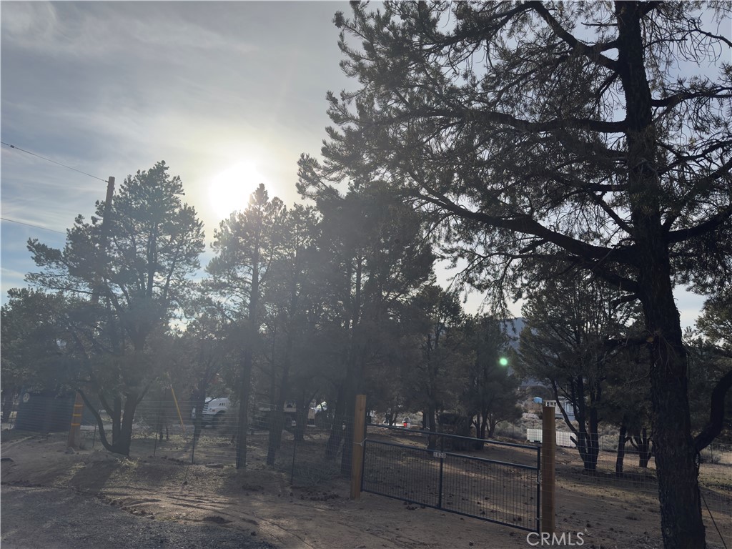 1820 Golden Rod Property Photo 11