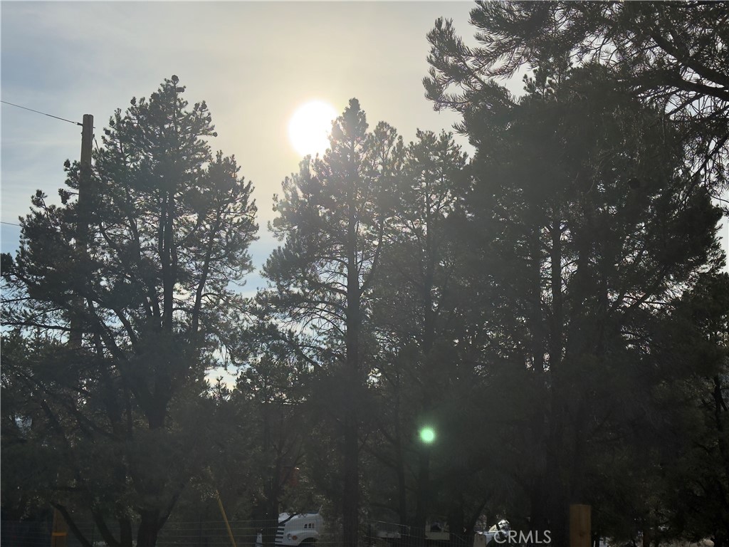 1820 Golden Rod Property Photo 12