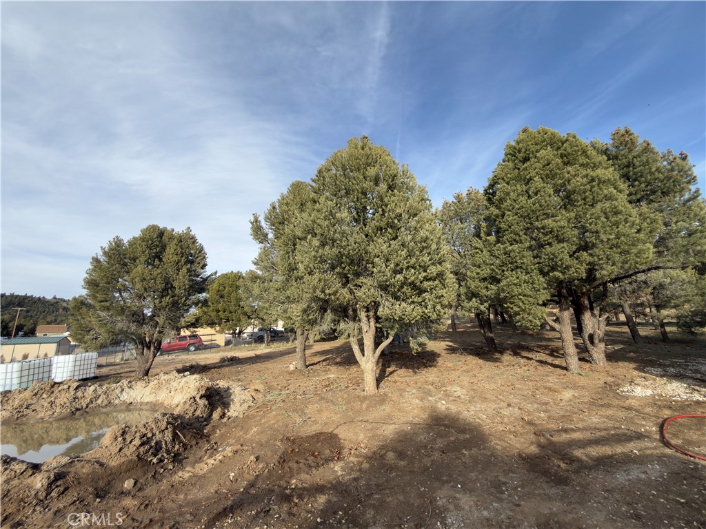 1820 Golden Rod Property Photo 13