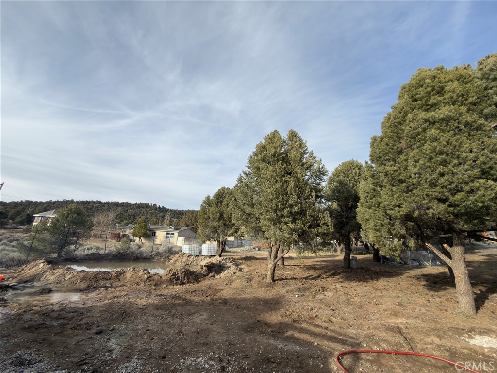 1820 Golden Rod Property Photo 14