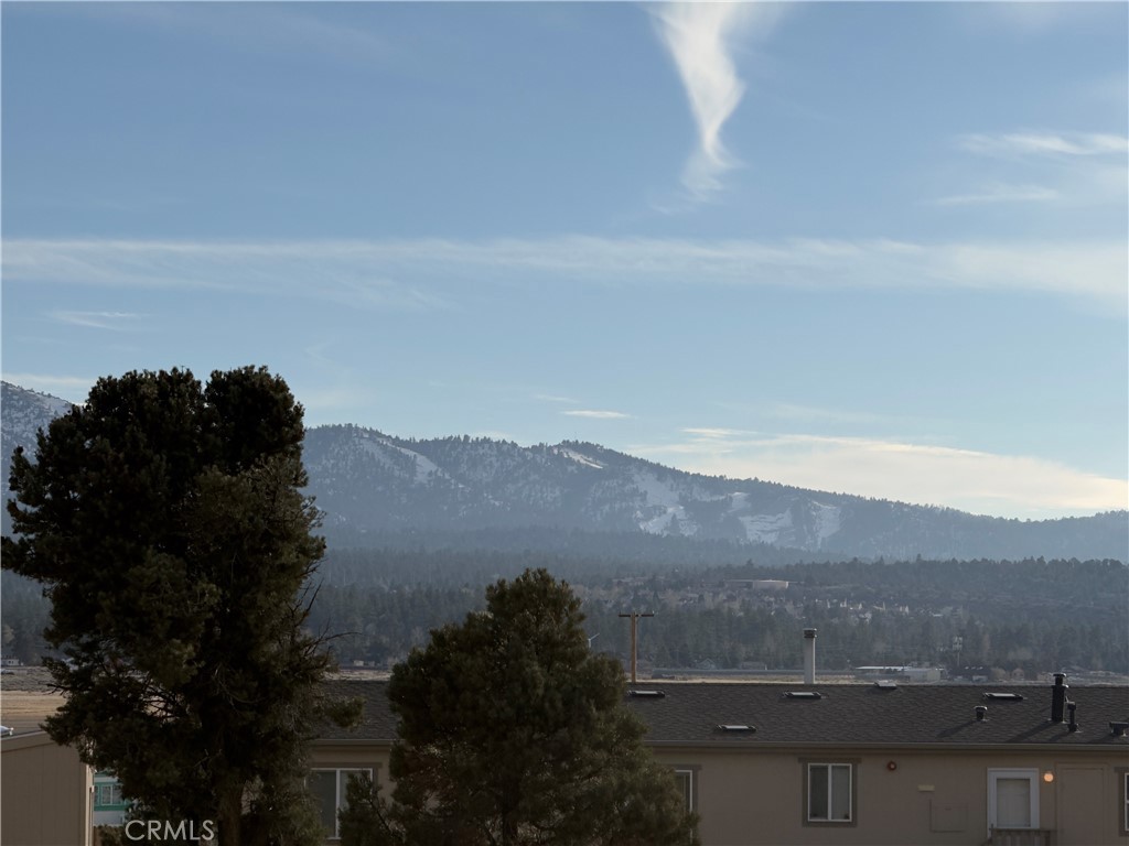 1820 Golden Rod Property Photo 16