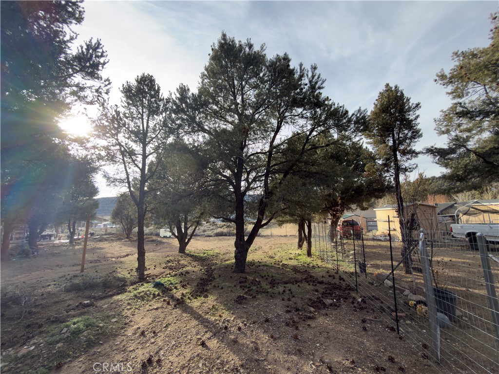 1820 Golden Rod Property Photo 17