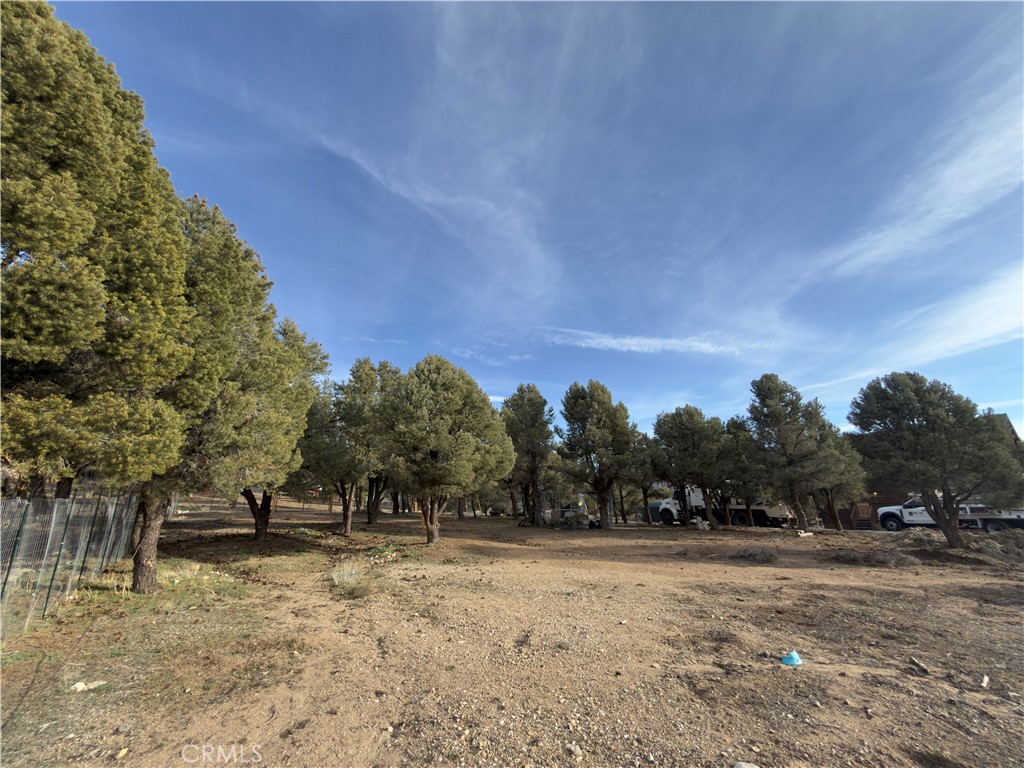 1820 Golden Rod Property Photo 18