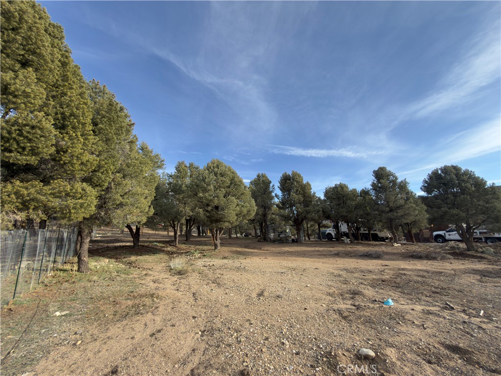 1820 Golden Rod Property Photo 19