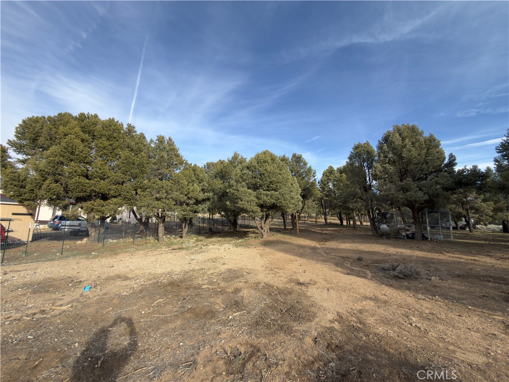 1820 Golden Rod Property Photo 20