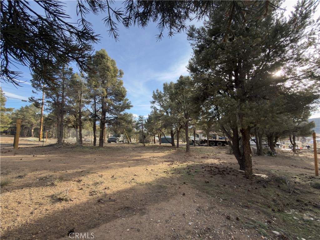 1820 Golden Rod Property Photo 22