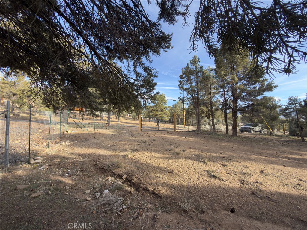 1820 Golden Rod Property Photo 23