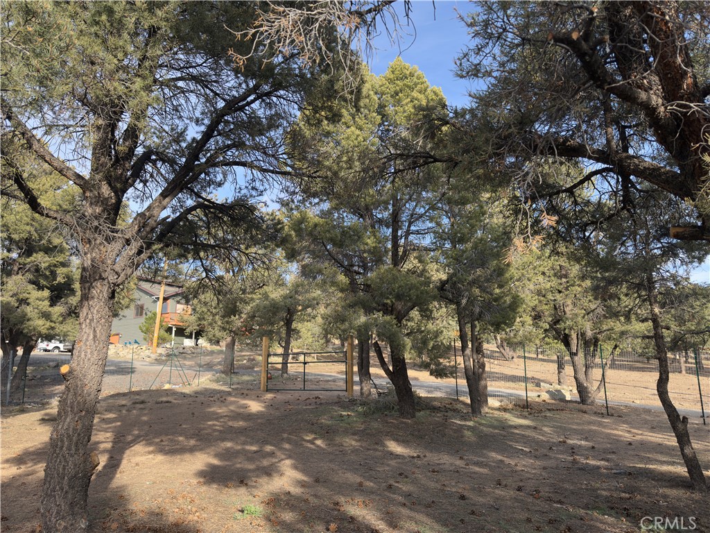 1820 Golden Rod Property Photo 27