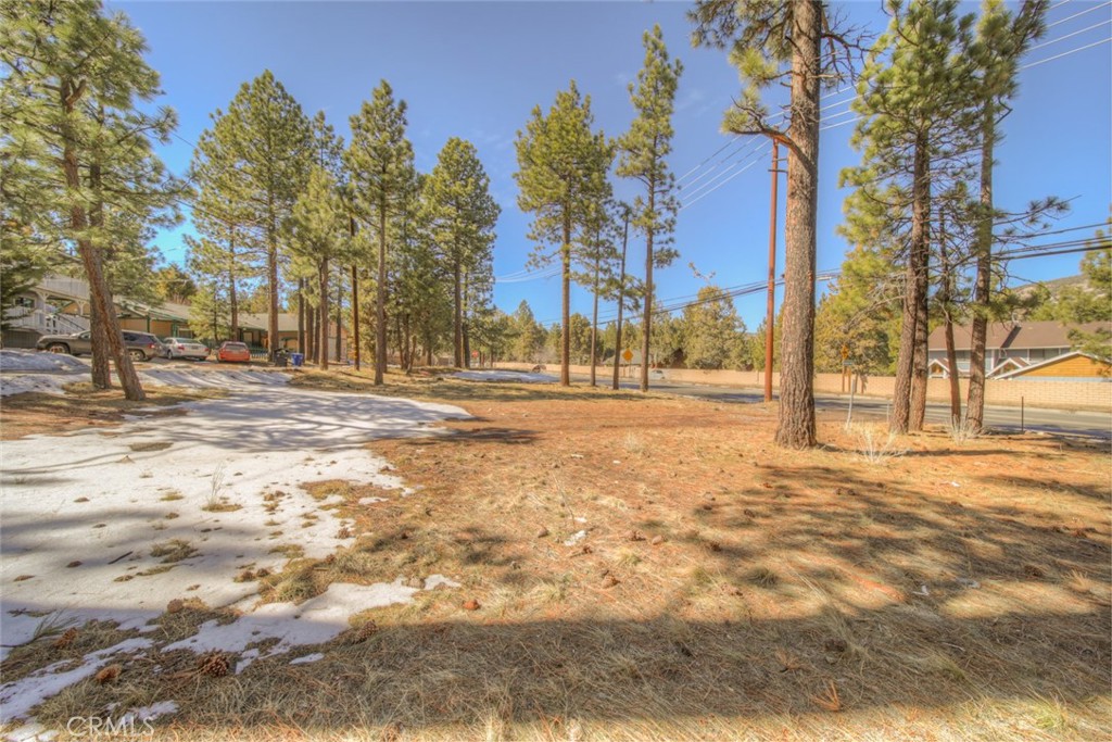 420 E Big Bear Property Photo 2