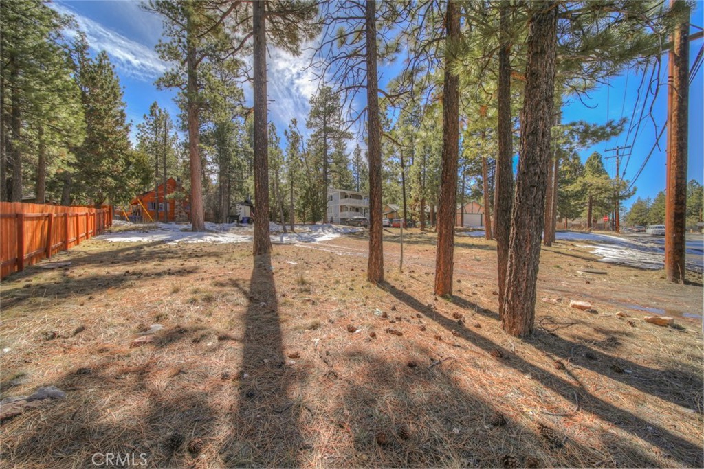 420 E Big Bear Property Photo 3