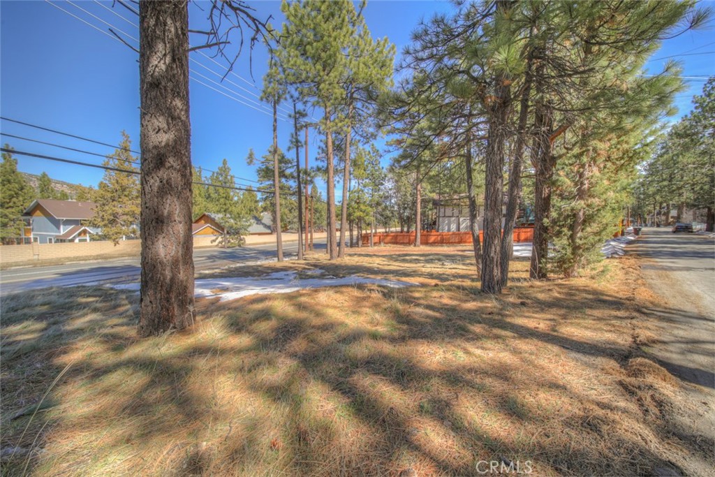 420 E Big Bear Property Photo 5