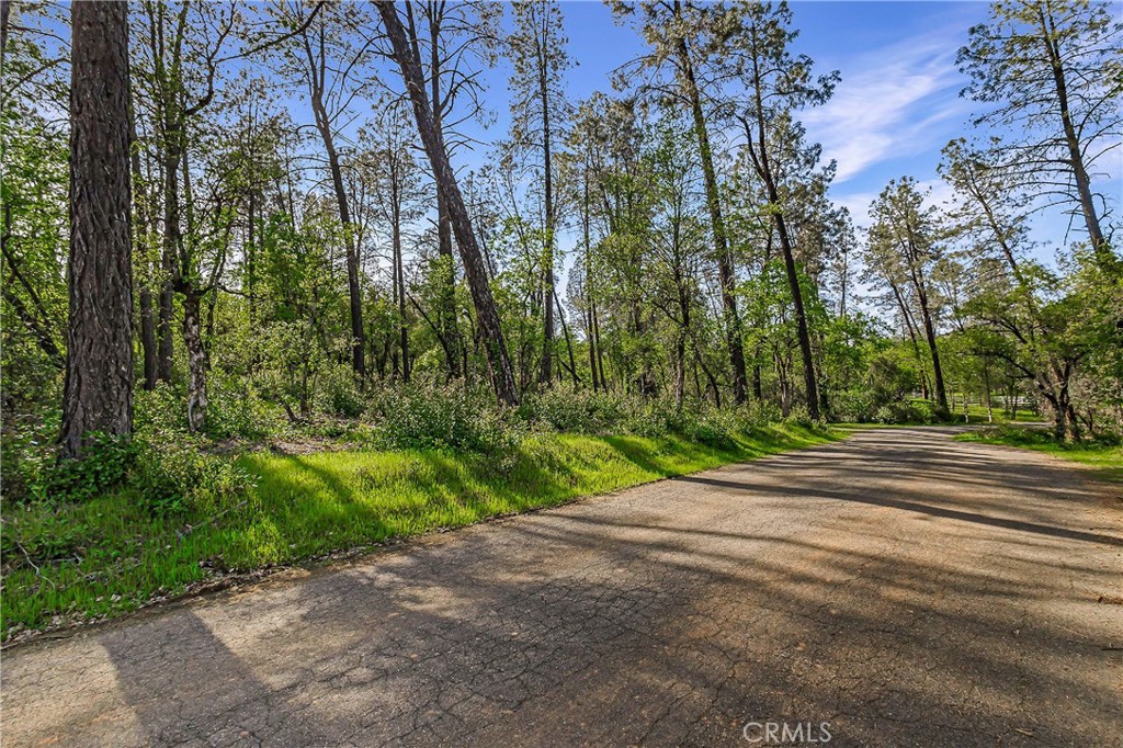 9200 Silver King Road Property Photo 1