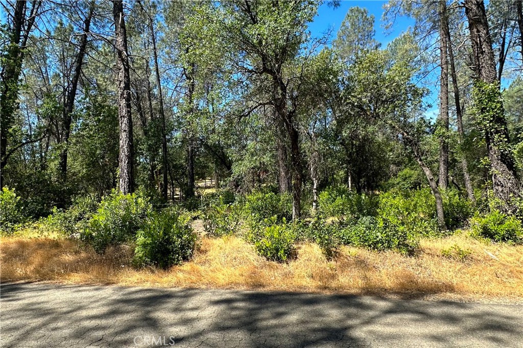 9200 Silver King Road Property Photo 1