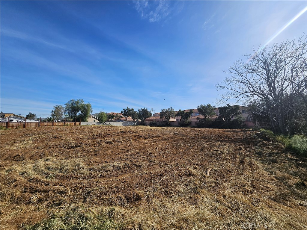 24208 Dracaea Property Photo 3