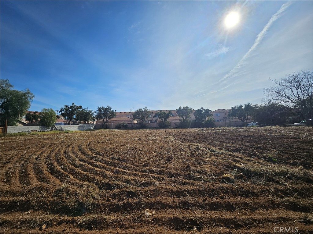 24208 Dracaea Property Photo 4