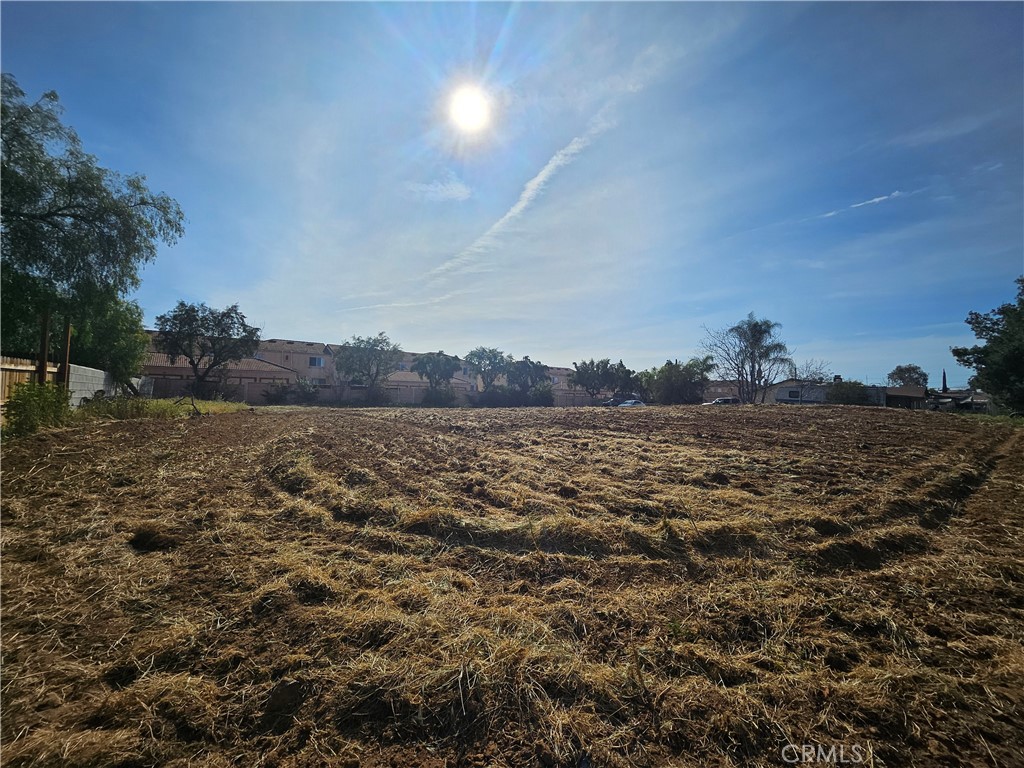 24208 Dracaea Property Photo 5
