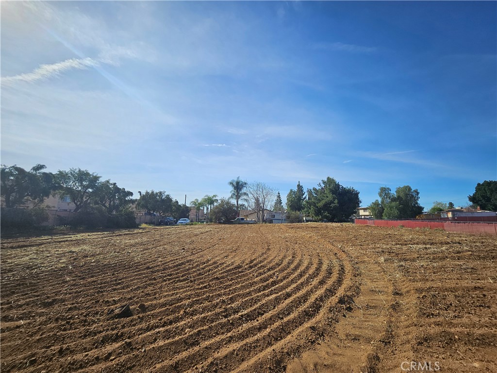 24208 Dracaea Property Photo 6