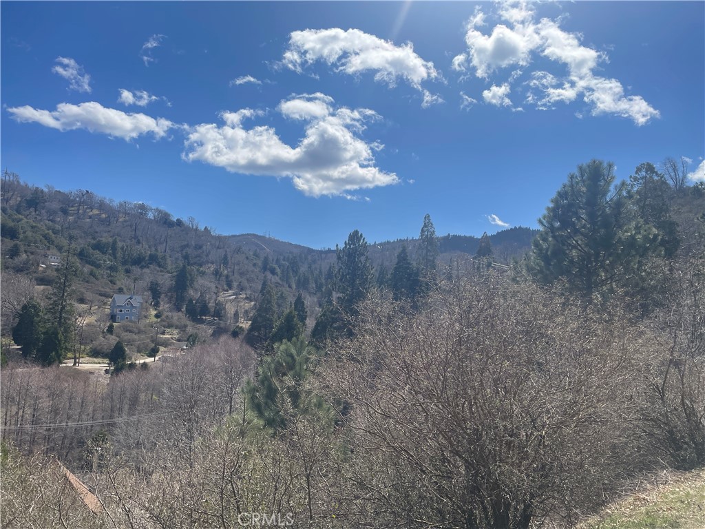 0 Pine Drive Property Photo 1