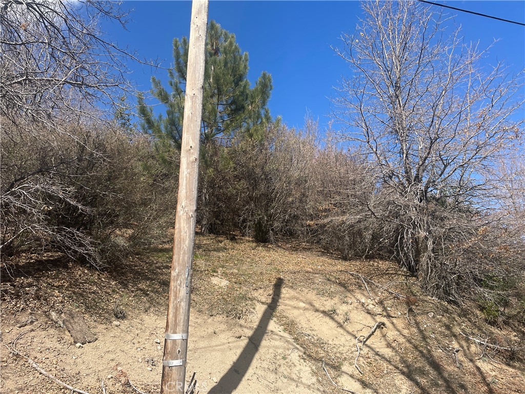 0 Pine Drive Property Photo 6
