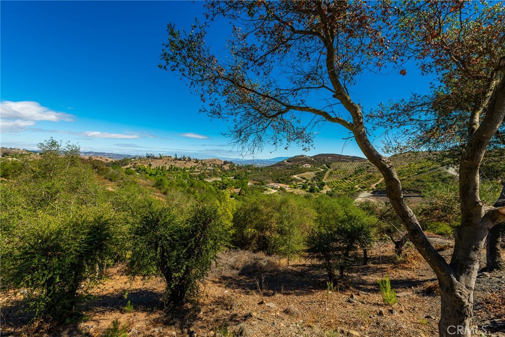 26100 Calle Corveta Property Photo 19
